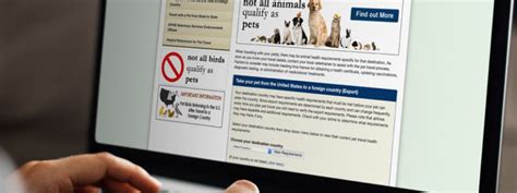 usda pet travel website.